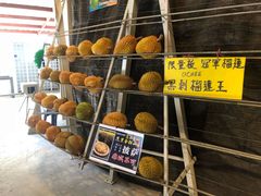 -都念榴莲·城市榴莲