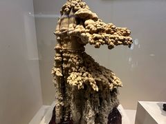 -安徽省地质博物馆