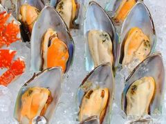 -视界美食自助餐厅·石家庄希尔顿酒店