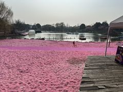 -上海杨姆庄园