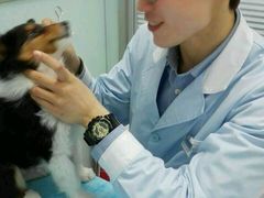 android_upload_pic-纳吉亚猫专科动物医院博雅分院