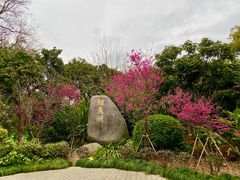 -福建鲤鱼洲酒店