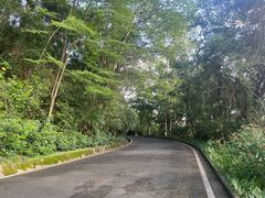 -白云山风景名胜区