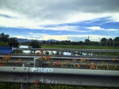 -白水寺森林公园