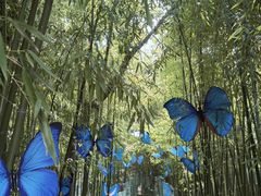 -竹泉村旅游度假区