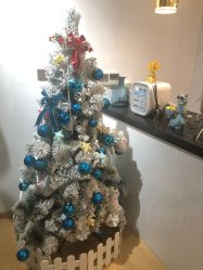 -D.z Salon 无痕接发潮店