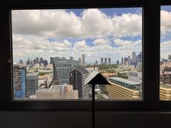 -新加坡乌节希尔顿酒店 (SG Clean)