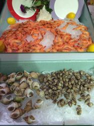 -阳光五洲大酒店·宴会厅