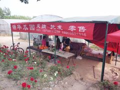 -庞各庄西瓜蔬菜采摘园·锦华瓜园
