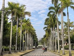 -厦门大学(思明校区)