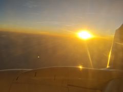 -大湾区中央湿地公园-十九涌
