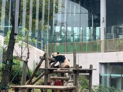 -大连森林动物园