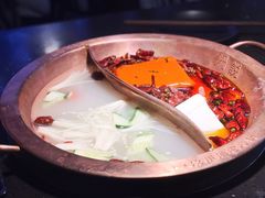-锅说大脸毛肚重庆老火锅(佐阾店)