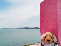 -漳州滨海火山岛自然生态风景区