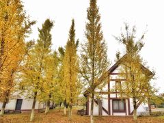 -太阳岛度假酒店