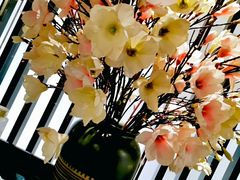 -长春香格里拉