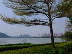 -顺峰山公园