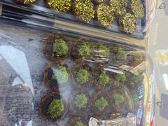 -祥禾饽饽铺·中式糕点(北京来福士店)