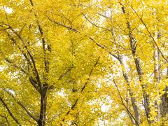 -白塘生态植物园