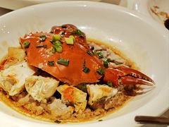 -月湖翠·上海菜(思南公馆淮海店)