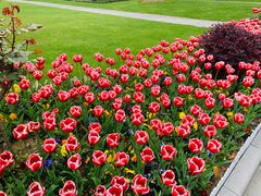 -无锡市市民中心