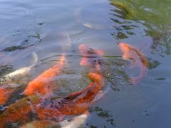 -杭州花家山庄