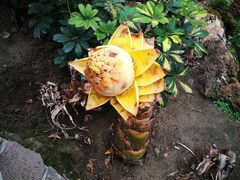 -南通洲际绿博园