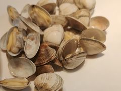 -苏大嘴蒸汽海鲜·海胆蒸饺(中山广场店)