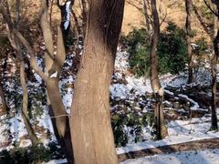 -句容茅山景区