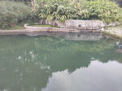 -成都市活水公园