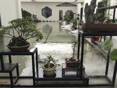 -稍可轩博物馆餐厅