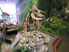 -陕西自然博物馆