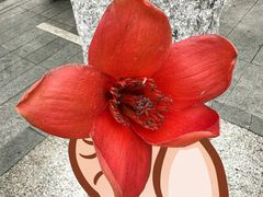 -烈士陵园(地铁站)
