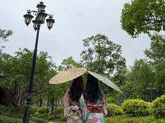 -江门恒大泉都
