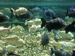 -成都浩海立方海洋公园