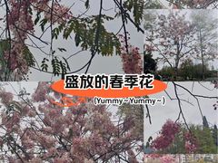 -四海公园(南山区)