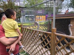 -萌宠亲子动物乐园(槐房万达店)