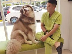 -艾吉宠物医院·疑难杂症转诊中心·猫友好(碧江路院)