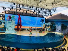 -三亚海昌梦幻海洋不夜城