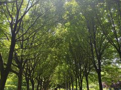 -幕燕滨江·长江观音景区