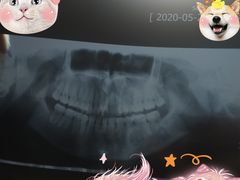 -西安交通大学口腔医院(主院区)