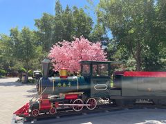 -南宫五洲植物乐园