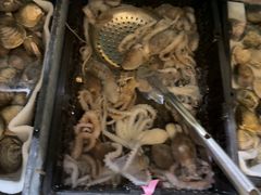 -福禧荟·海鲜自助