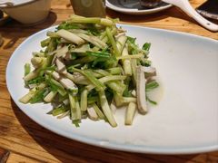 -椿不老