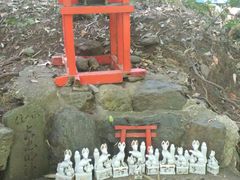 -野宫神社