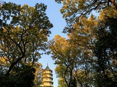 -灵谷景区