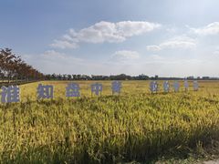 -嘉北郊野公园