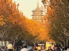 -西湖外事游船(花港观鱼码头)