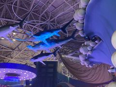 -烟台海昌鲸鲨海洋公园