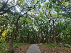 -汤山公园